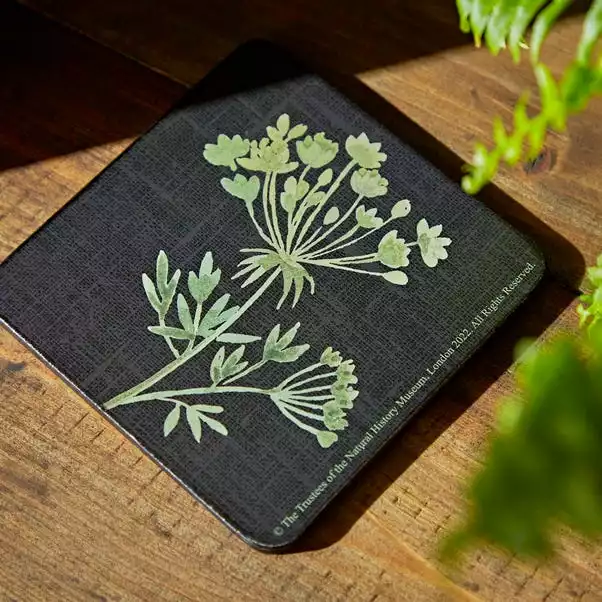 Natural History Museum Marsh Botanical Set Of 4 Coasters And Placemats - Image 2